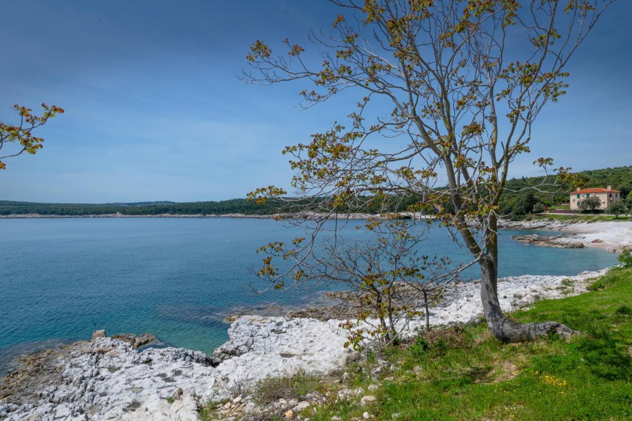 Apartment Dobric Koromačno Dış mekan fotoğraf