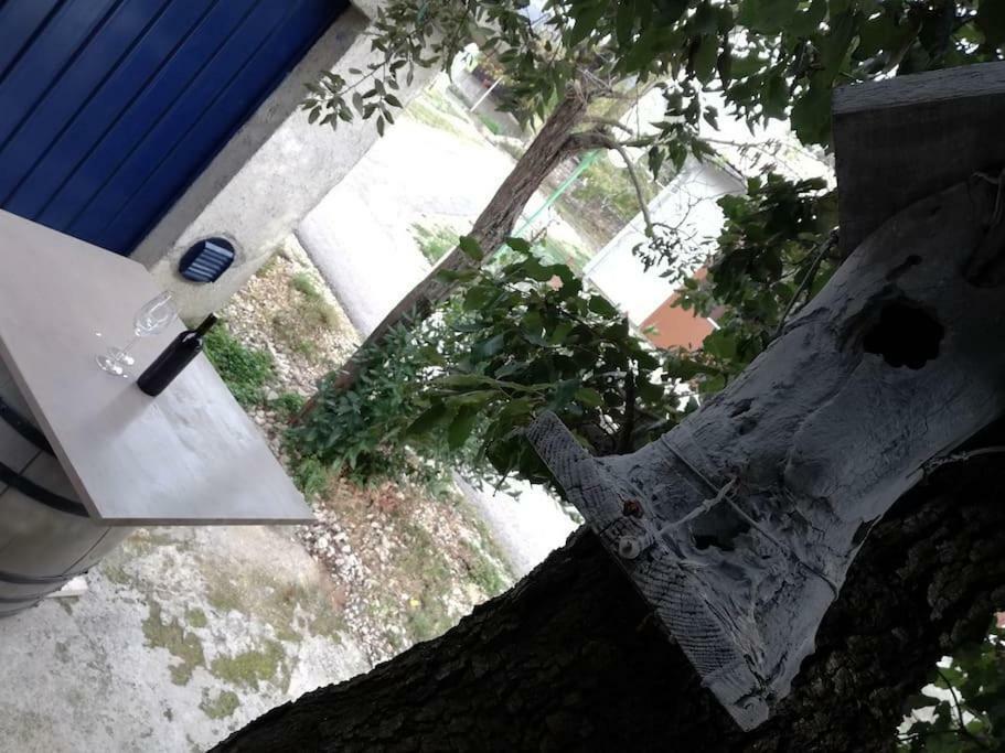 Apartment Dobric Koromačno Dış mekan fotoğraf