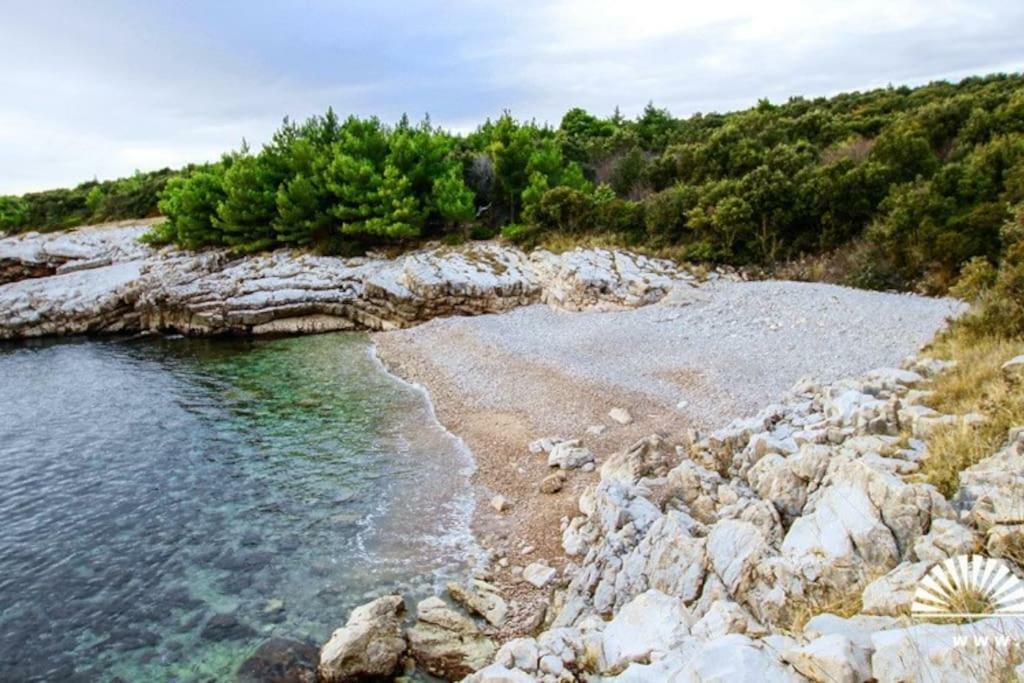 Apartment Dobric Koromačno Dış mekan fotoğraf